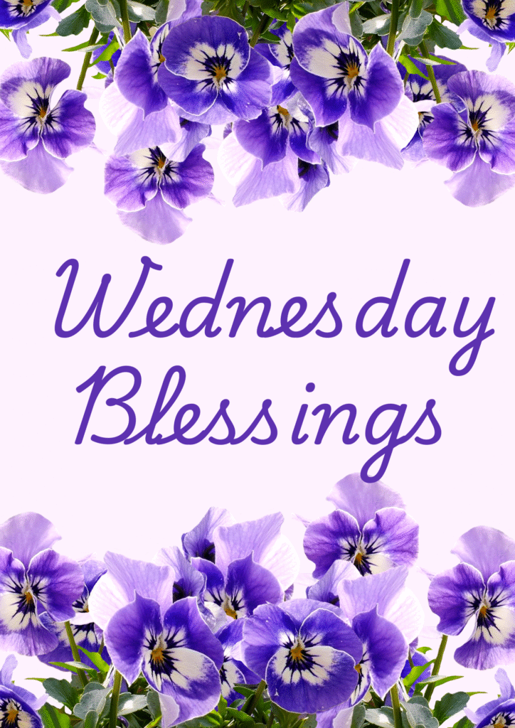 Wednesday Blessings