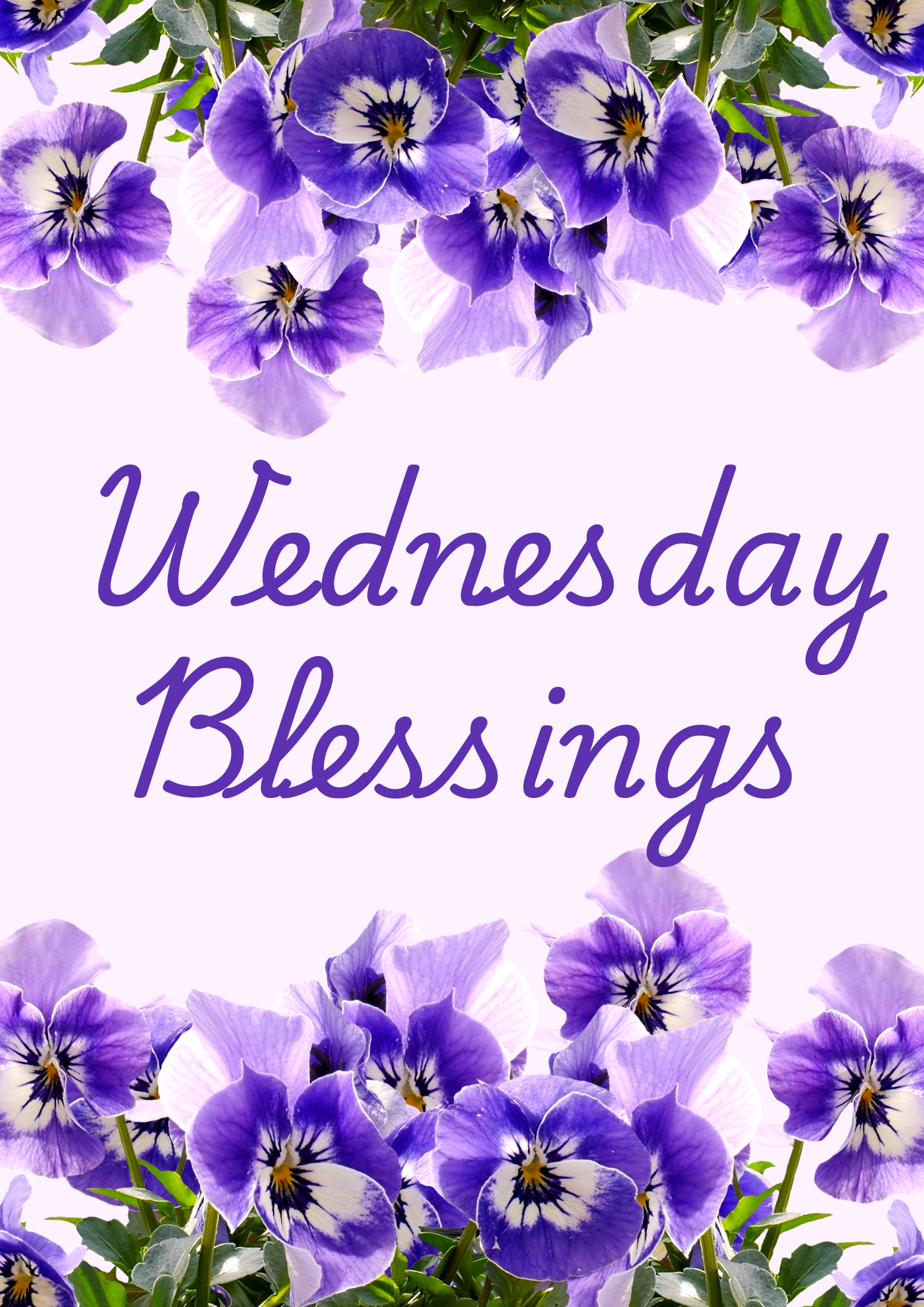 Wednesday Blessings