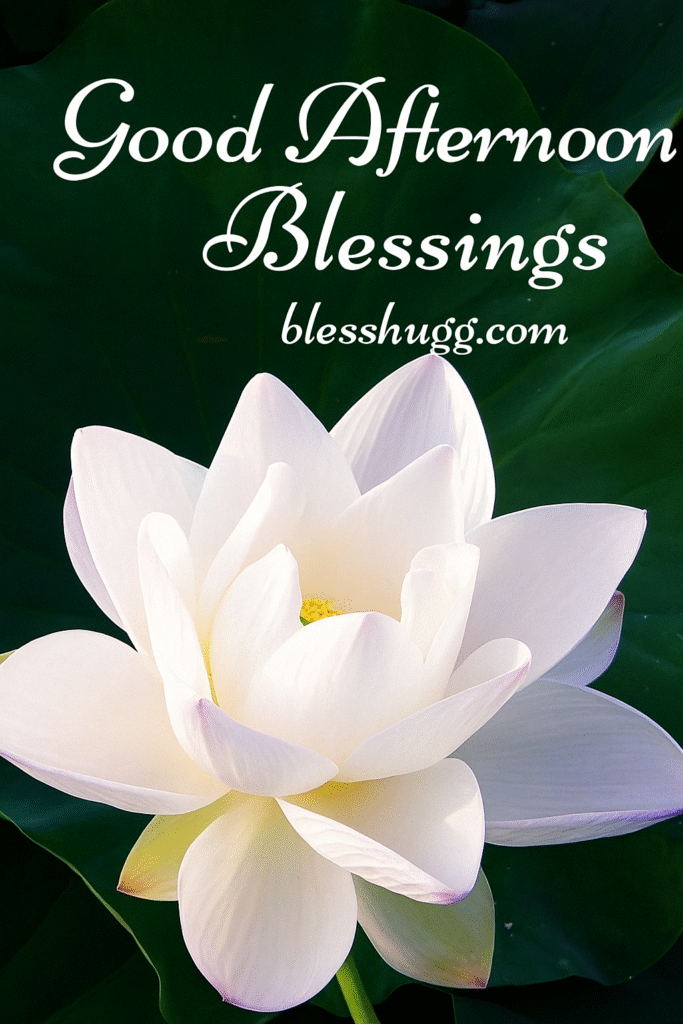 Good Afternoon Blessings