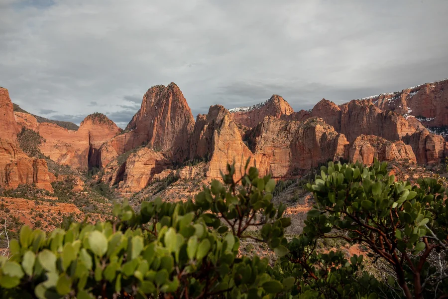 Kolob Canyons Photos